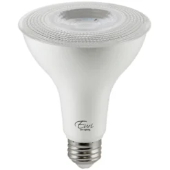 Natural Light - 900 Lumens - 10 Watt - 5000 Kelvin - LED PAR30 Long Neck Lamp