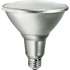 Natural Light - 1200 Lumens - 15 Watt - 4000 Kelvin - LED PAR38 Lamp