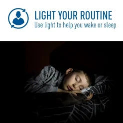 Natural Light - 800 Lumens - LED Smart Bulb - Edison Filament - 7 Watt - Tunable White - 2200-6500 Kelvin - 5 In. X 2.4 In. -Bulbs Shop data 1453