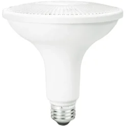 1100 Lumens - 13 Watt - 5000 Kelvin - LED PAR38 Lamp