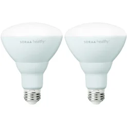 Bulbs Shop 11 635 Lumens - 15 Watt - 2700 Kelvin - LED BR30 Lamp