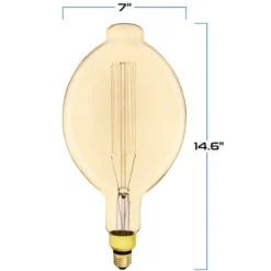 60 Watt Incandescent - Oversized Vintage Light Bulb - 14.6 In. X 7 In. -Bulbs Shop data 502