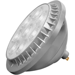 Natural Light - 3800 Lumens - LED PAR56 - 40 Watt - 300W Equal - 2700 Kelvin