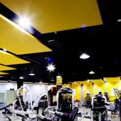 Bulbs Shop -Bulbs Shop data 819